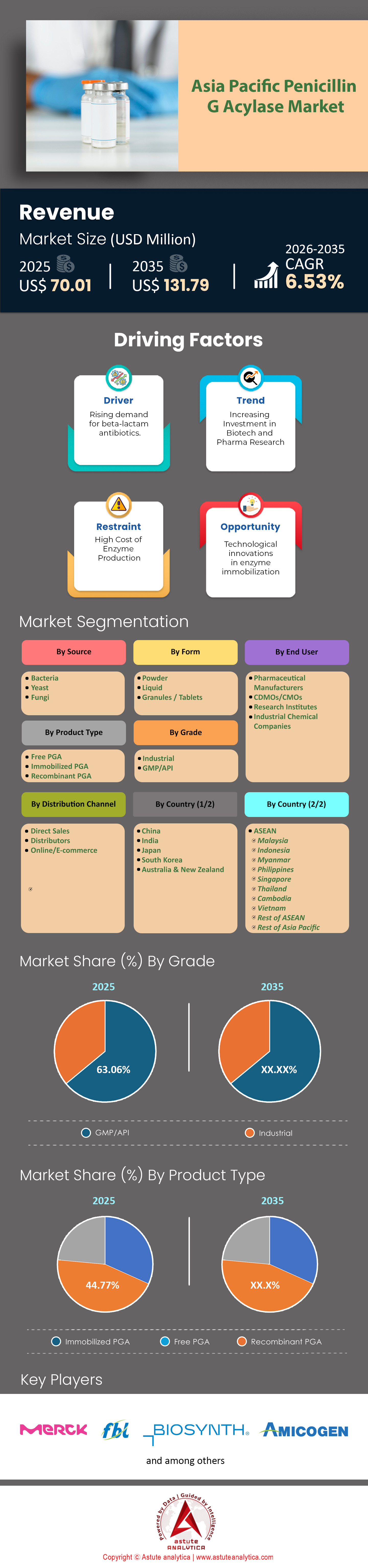 Asia Pacific Penicillin G Acylase Market
